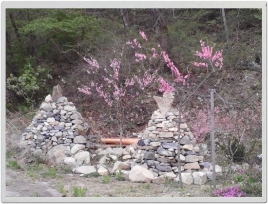 시설 사진 4