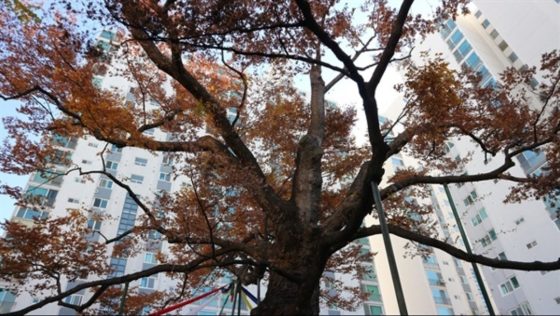 시설 사진 2